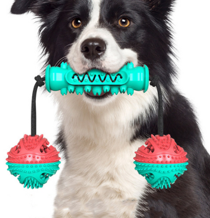 FidoFloss - Pet Toy & Tootbrush